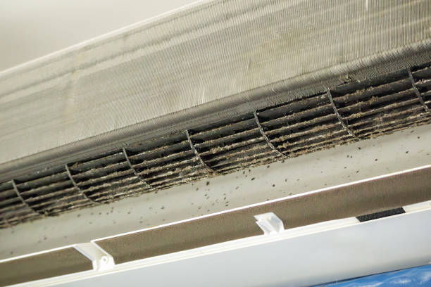 Best Home Air Vent Cleaning  in Preston, ID